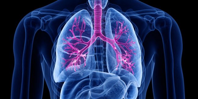 什么是慢性阻塞性肺病 (Chronic Obstructive Pulmonary Disease)，為何與新冠疫情有關？